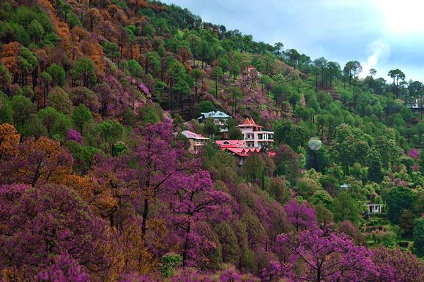 Best places to visit in India in April
